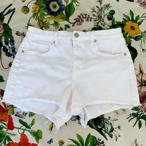 BLANKNYC Great White Frayed Hem Denim Shorts Size 29